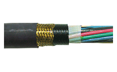 Type P Cables